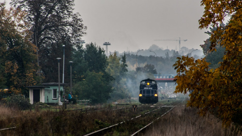 autumn