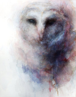 thelookingglassgallery:  “Owl”