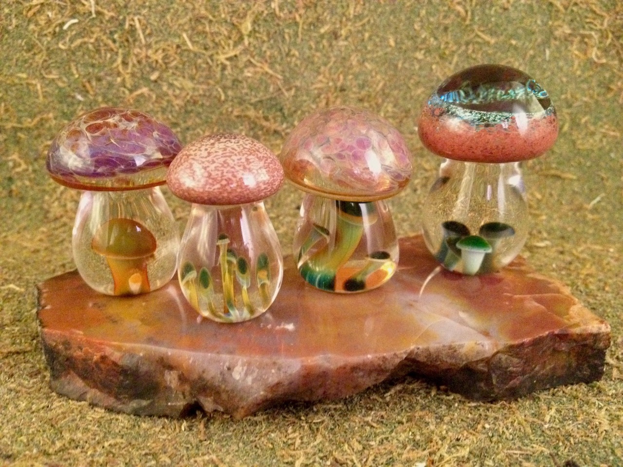 Fungi