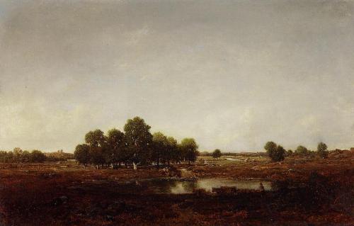 Marsh Land, Theodore RousseauMedium: oil,panel