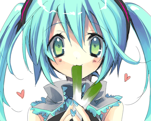 ringhostaqua - ringo