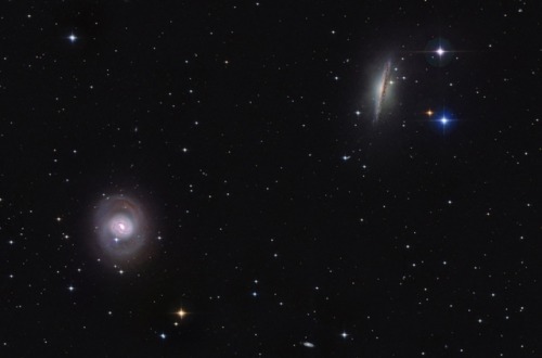 Cetus Duo M77 and NGC 1055 : At the top right, large spiral galaxy NGC 1055 joins spiral Messier 77 