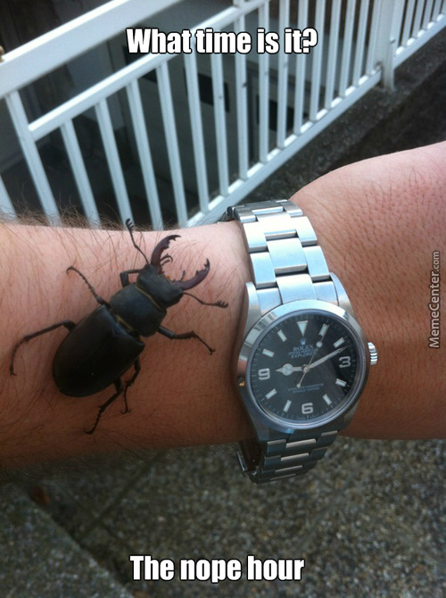 welele:  Sentir un cosquilleo por el brazo y saber que hay que amputar