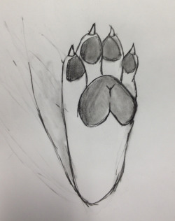 rainbows-and-paws:Day 328: Paw practice…..How I wish I could improve faster. (-_-)  Thats really good!  :D you are improving fast :D 