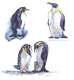 carcaneloce:  Just some Emperor penguin