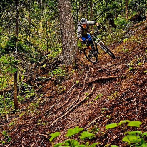 mtbikinglove: #mountainbikes #mountainbike #MTB #mtbtrails #mtbtrail #trails #Bike #bikelife #Mounta