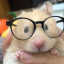 jsquirrel