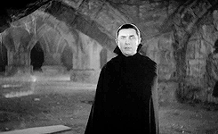 terencehilled:  dracula (1931)   the spider spinning his web for the unwary fly. the blood is the life, mr. renfield  