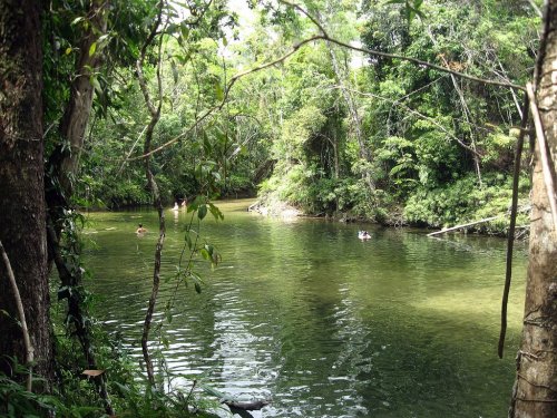 oceaniatropics:  swimming at Bulgun Creek, Walter Hill, Queensland, by heavylambs