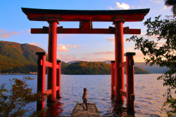 ileftmyheartintokyo:  	Torii by Hsin-Chih Lo    	Via Flickr: 	Hakone Shrine (箱根神社)   