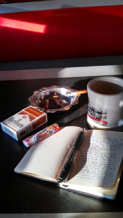 deloused-in-the-comatorium:  How to relax: