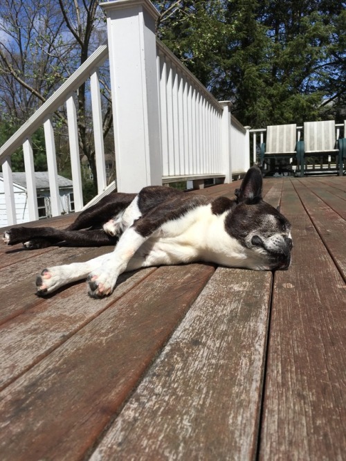 and now back to our regularly-scheduled sunbathing ☀️thank you so much for all of the well-wishes, g
