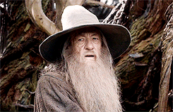 theheirsofdurin:Gandalf the Grey: inspiring confidence and being generally optimistic