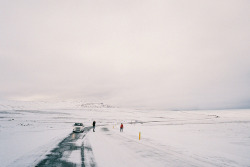 petalier: Iceland roadtrip by Johannes Huwe