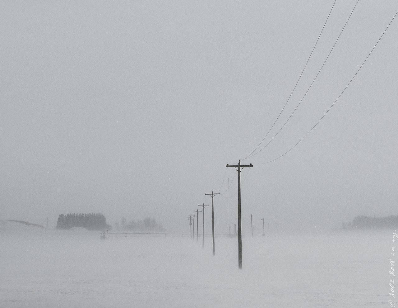 thisherelight:in case you’re not entirely sick of pictures of what we call spring.. 