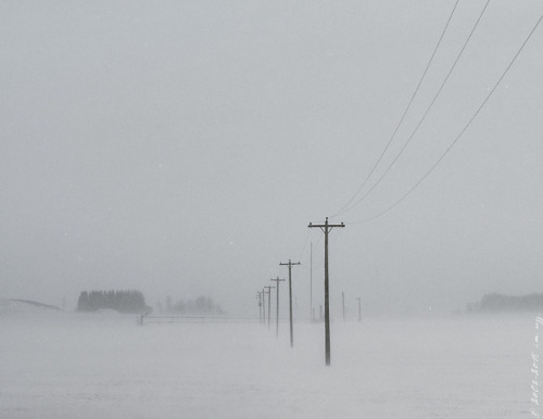 thisherelight:in case you’re not entirely sick of pictures of what we call spring.. 