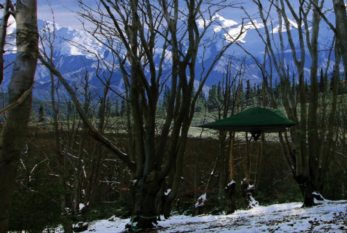 ddemonicc:  awkwardsituationist:  tensile stingray tents are made to be suspended over frozen, waterlogged, uneven or sloping ground, but can also be pitched like a conventional tent.   Gimmieeeee  this is scary