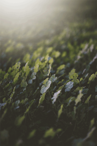 tumblr photo sweetnyakun 1