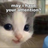 peach-cream-yukio:Lil guy photo dumpThese are top tier I am in love with this lil