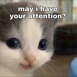 peach-cream-yukio:Lil guy photo dumpThese are top tier I am in love with this lil