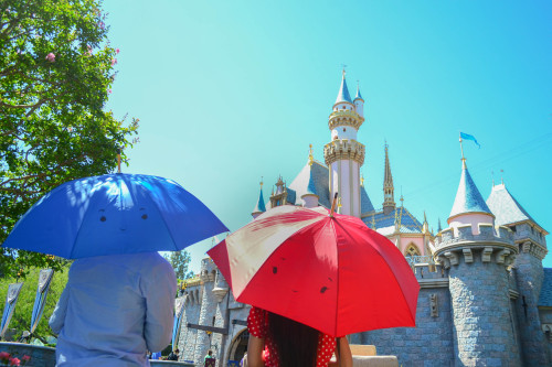 acciobrandon: The Umbrellas at Disneyland