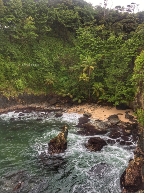 On the Paria trail, turtle rock, north coast, Trinidad. Copyright 2018 Troy De Chi. All rights reser