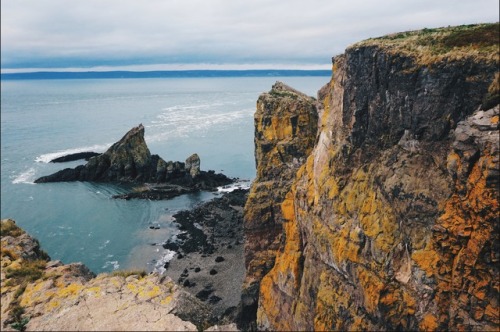 Cape Split | October 2017