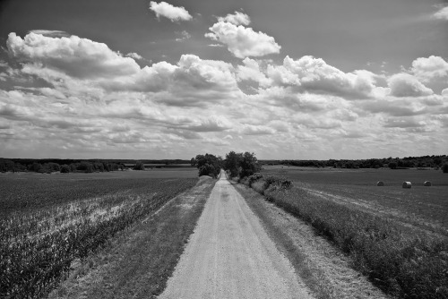 Black and White Landscapes from around the world