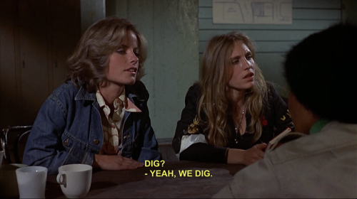 cinemasavage:Switchblade Sisters (Dir. Jack Hill, 1975)File under great leftist/lumpen cinema of the