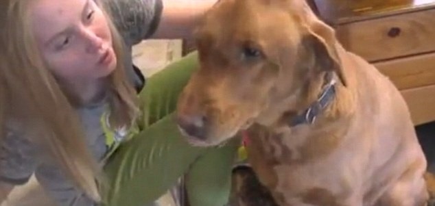 ultrafacts:  A service dog in San Antonio gets a special honor. His picture appears