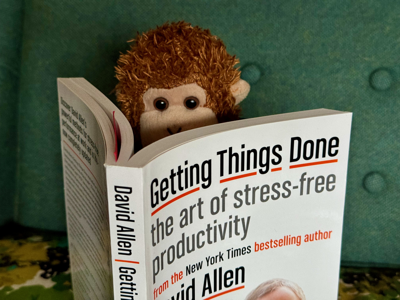 Bob T. Monkey reading Getting Things Done by David Allen.