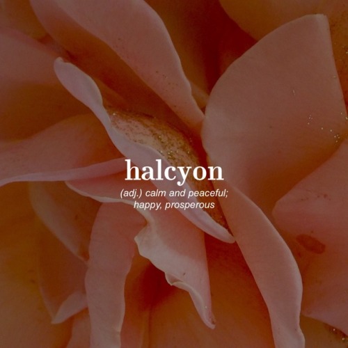 halcyon days