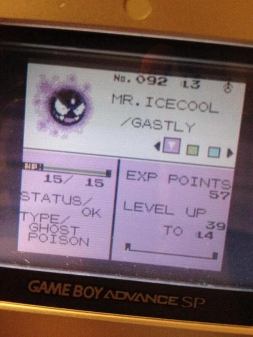 markjl:  i bought pokemon crystal online from someone and their nicknames are possibly the greatest nicknames i have ever encountered 