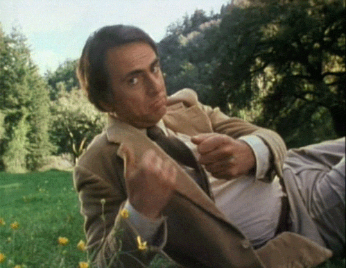 the-actual-universe:My collection of Sagan reaction images, for all your Sagan reaction image needs.