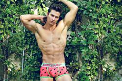 undiedude:  Matt Williams for Cheapundies