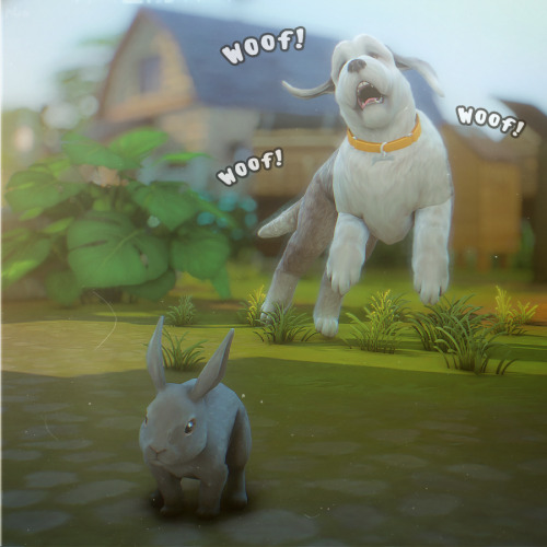 "Let `s Play!"