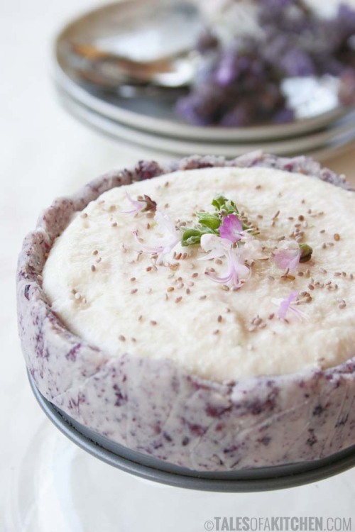 talesofakitchen:
“ Coconut lime cream cake with blueberry crust {raw, vegan, nut free}
”