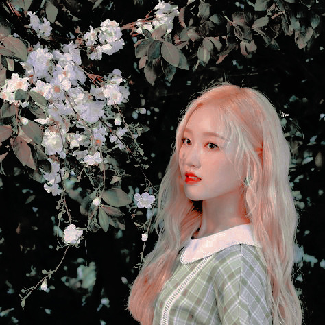 GOWON LOONA─   ♡─   ♡▸DO NOT RE EDIT