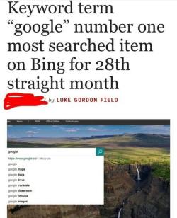 Memecage:bing Is Not Useless /S