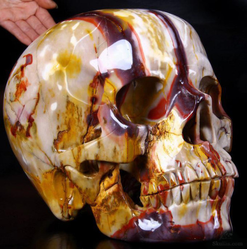 devidsketchbook: GORGEOUS CRYSTAL SKULLS Large Geode 4.1” Red Crazy Lace Agate Carved Crystal 