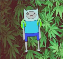 Into A Stoner's Mind!