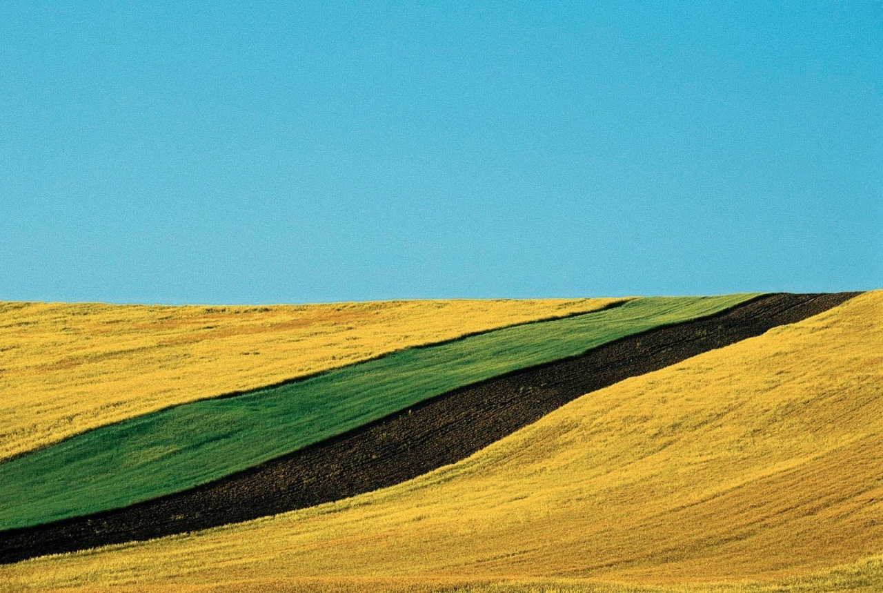 hiro-mon-amour: Photographer: Franco Fontana