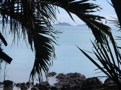 backpackfullofsunshine: Airlie Beach, Australia