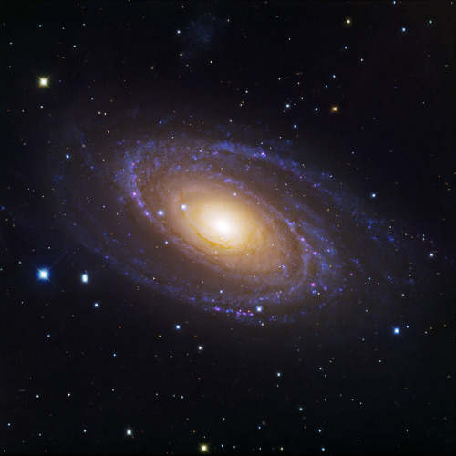 spinningblueball: Messier 81 (M81) - Spiral Galaxy In Ursa Major