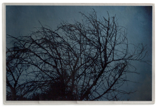 Iron (Blue) toned gelatin silver print.200 of you are now following this humble little blog. Thanks.