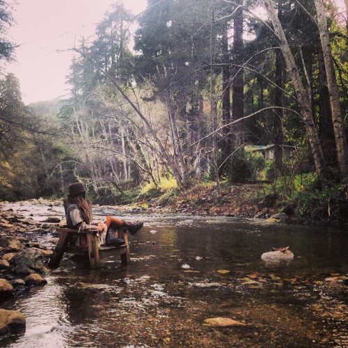 meadow-sage:  big sur big surrrrr 