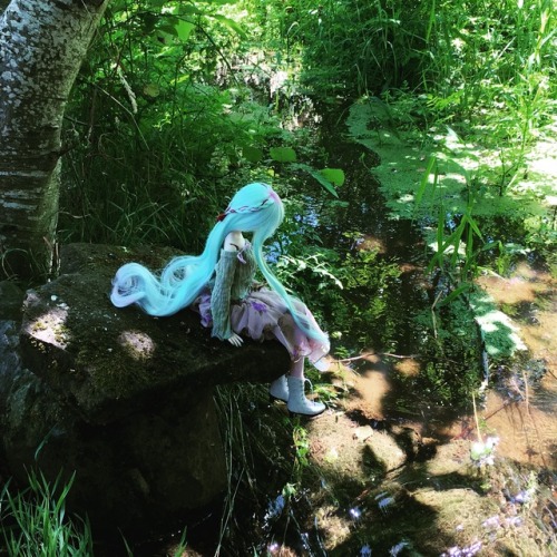 Miku and Vanilla in the Secret Garden, at the Oregon Gardens in Silverton, Oregon.