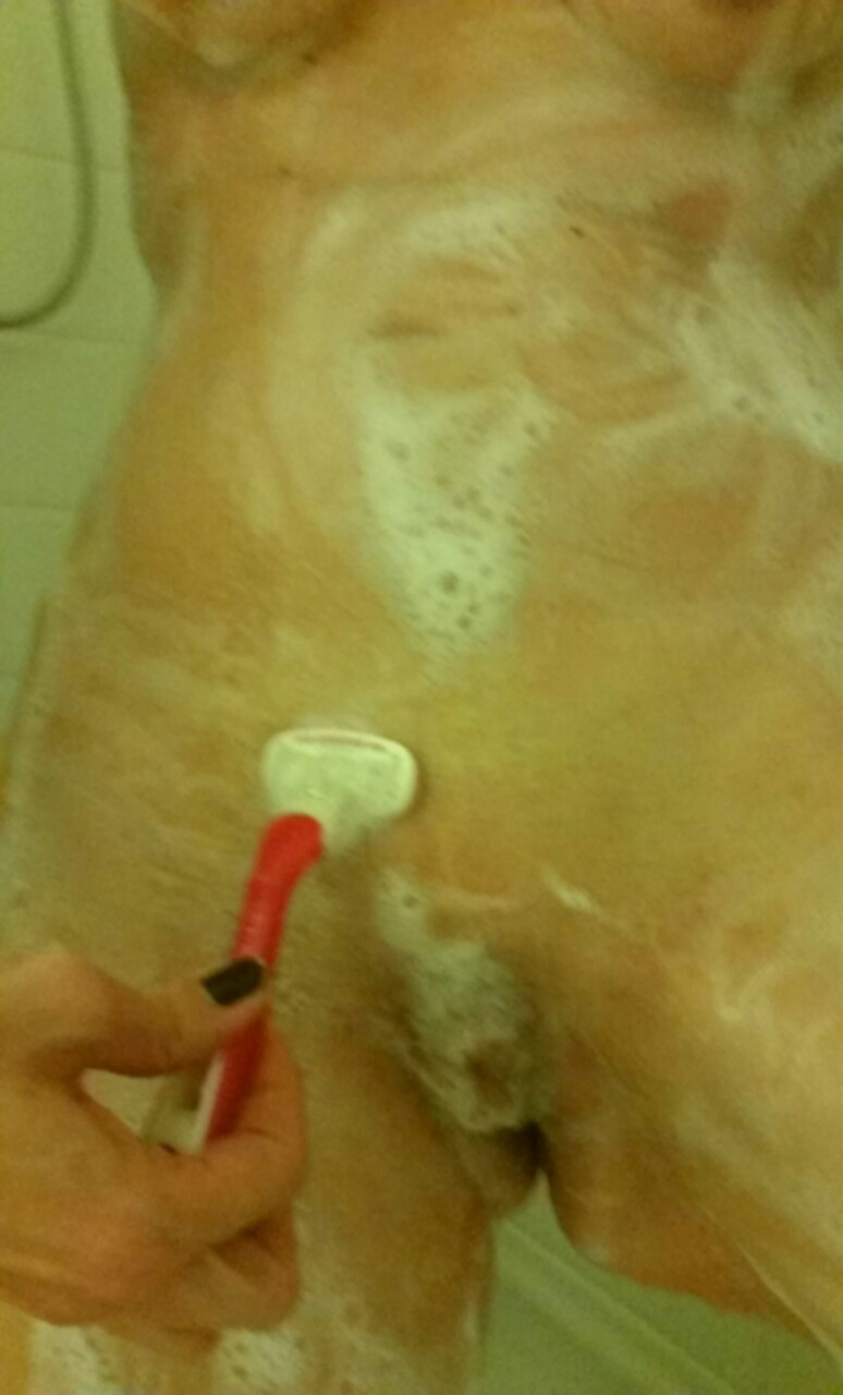 bakedhoney:  I was going to post the tomorrow but after looking at them again, I