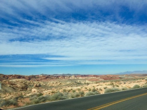 Some desert shots