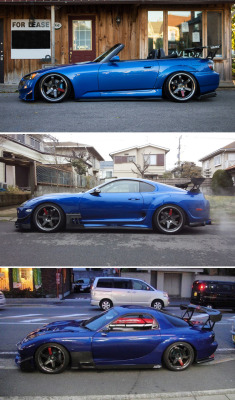 raytranphoto:  Black and blue - choose your weapon. (Only first pic is mine) 